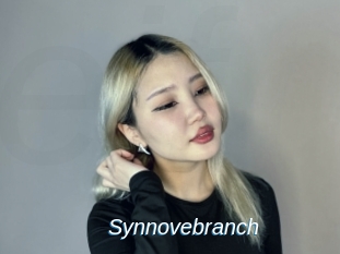 Synnovebranch