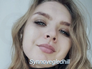 Synnovegledhill