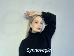 Synnovegleg