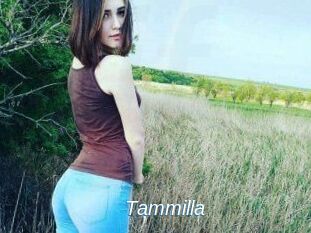 Tammilla_