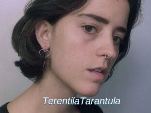 TerentilaTarantula