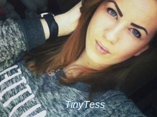 TinyTess