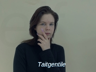 Taitgentile