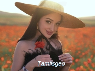 Tamilsgeo
