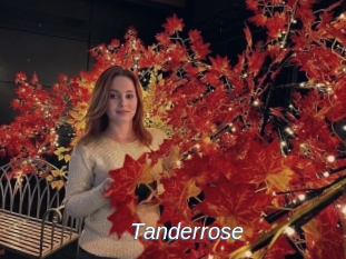 Tanderrose
