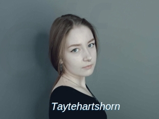 Taytehartshorn