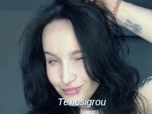 Tenesigrou