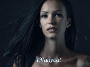 Tiffanycat