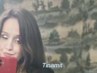 Tinamit