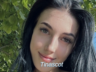 Tinascot