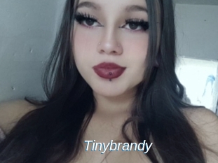 Tinybrandy