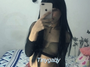 Tinygaby