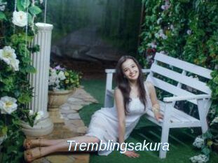 Tremblingsakura
