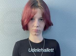 Udelehallett