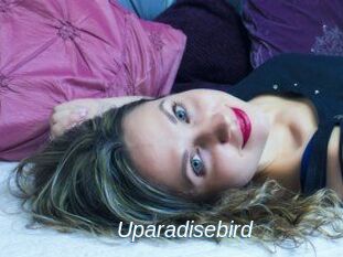 Uparadisebird