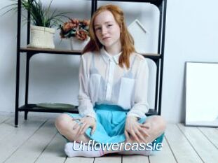 Urflowercassie