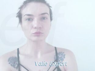 Valie_Export Ejaculations Féminines