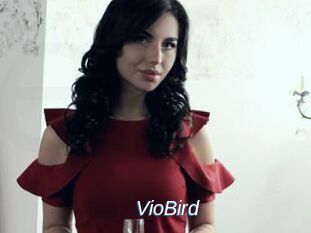VioBird