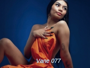 Vane_077