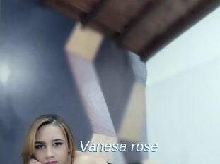 Vanesa_rose