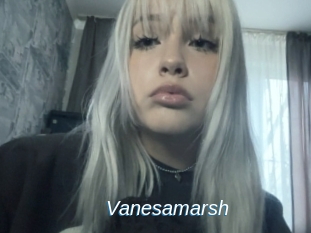 Vanesamarsh