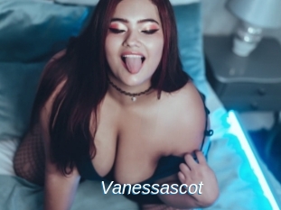 Vanessascot
