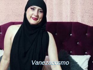 Vanezacosmo