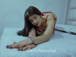 Vanishamittal