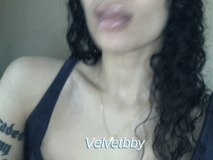 Velvetbby