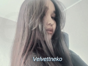 Velvettneko
