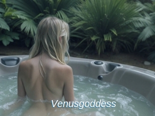 Venusgoddess
