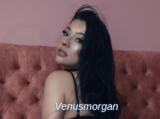 Venusmorgan