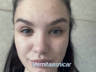 Vernitaasnicar