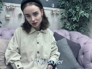 Vinaskyler