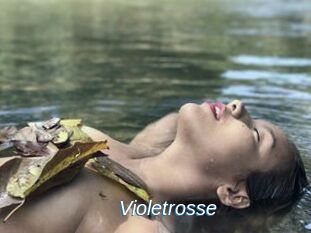 Violetrosse