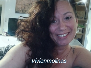 Vivienmolinas
