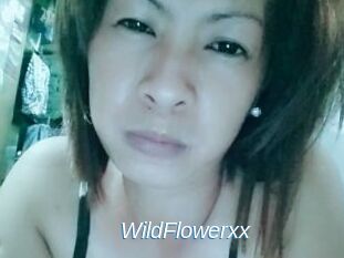 WildFlowerxx