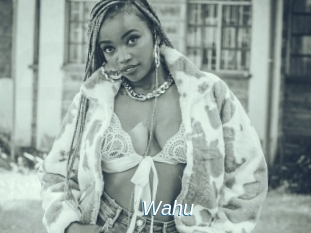 Wahu