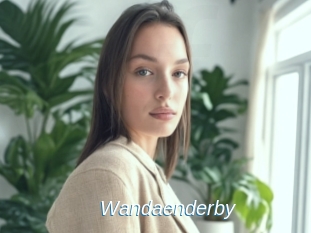 Wandaenderby