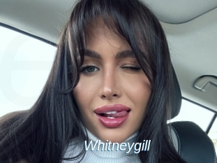 Whitneygill