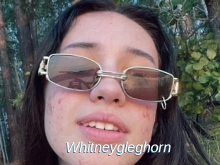 Whitneygleghorn
