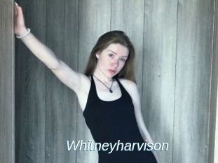 Whitneyharvison
