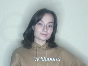 Wildaborer
