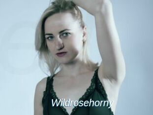 wildrosehorny Ejaculations Féminines