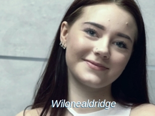 Wilonealdridge