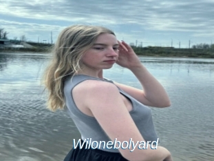 Wilonebolyard