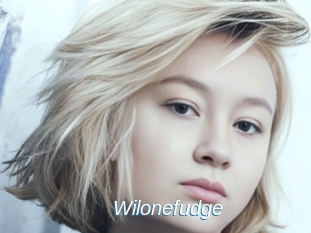 Wilonefudge