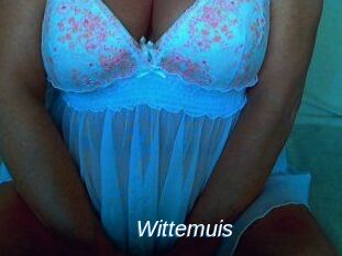 Wittemuis