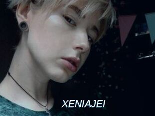 XENIA_JEI