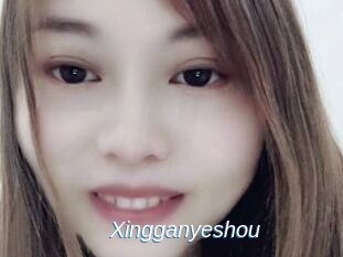 Xingganyeshou